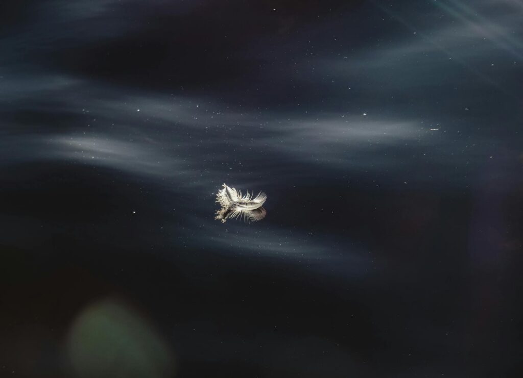 Leveza que impulsiona cada movimento Leveza que impulsiona cada movimento