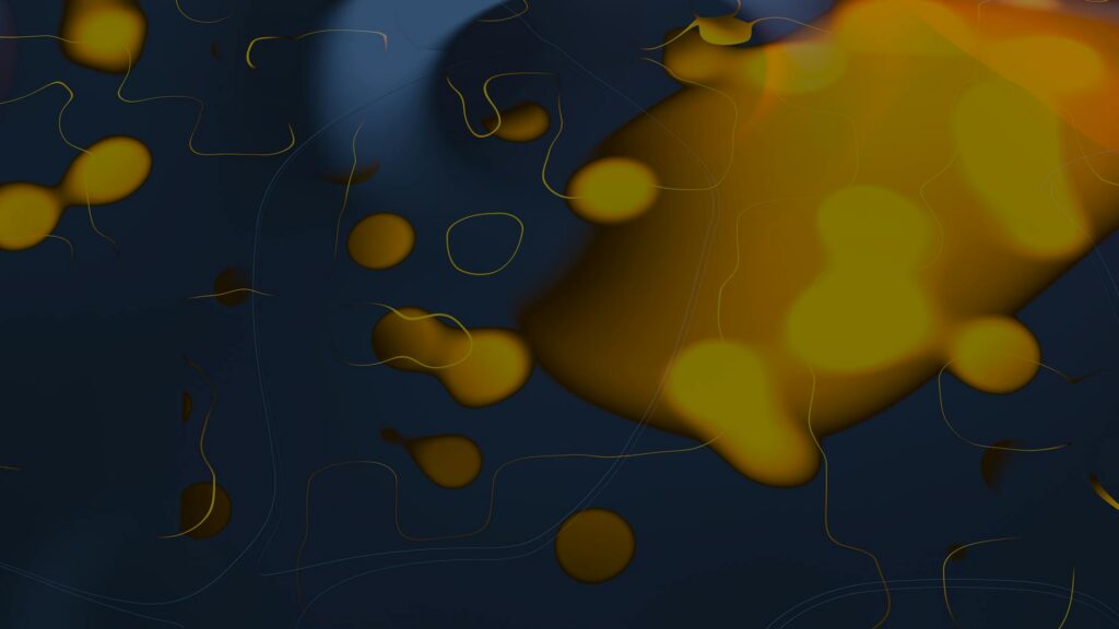 O impacto visual e a organização com placas 3D adesivas O impacto visual e a organização com placas 3D adesivas